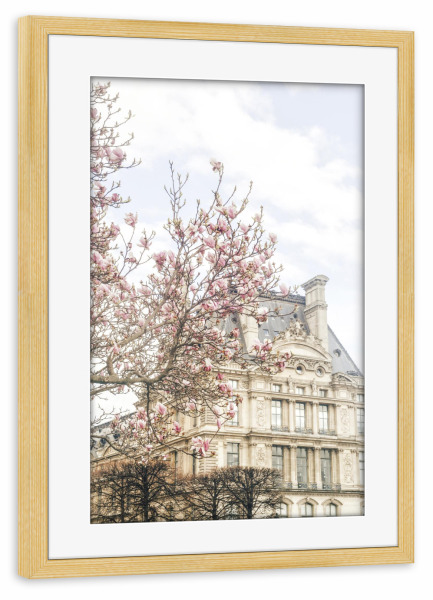 Poster mit Rahmen kiefer "Paris Blooms" artboxONE - Städte,Architektur,Städte / Paris