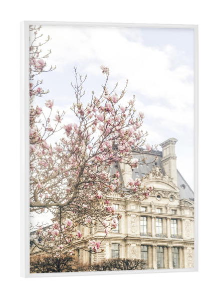 Poster mit weißem Rahmen "Paris Blooms" artboxONE - Städte,Architektur,Städte / Paris