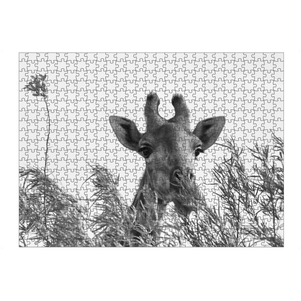 artboxONE Puzzle "Giraffe beim Frühstück" artboxONE - Natur,Tiere,Schwarzweiß,Reise / Afrika