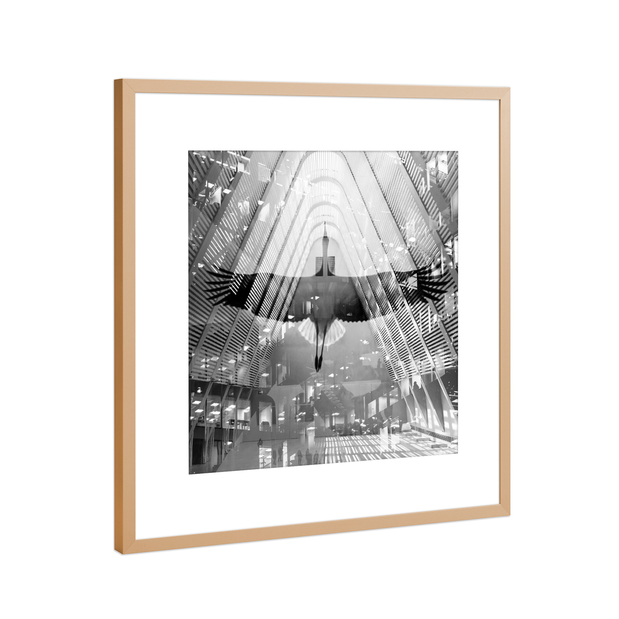Poster mit Rahmen Kupfer "City Bird" artboxONE - Städte,Natur,Tiere,Architektur