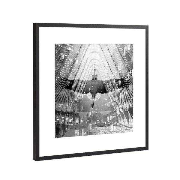Poster mit Rahmen Schwarz (Metallic) "City Bird" artboxONE - Städte,Natur,Tiere,Architektur