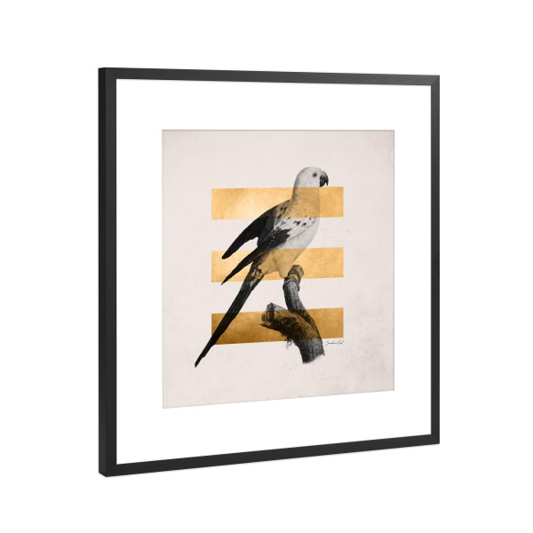Poster mit Rahmen Schwarz (Metallic) "Golden Bird" artboxONE - Natur,Tiere