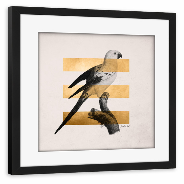 Poster mit Rahmen schwarz "Golden Bird" artboxONE - Natur,Tiere