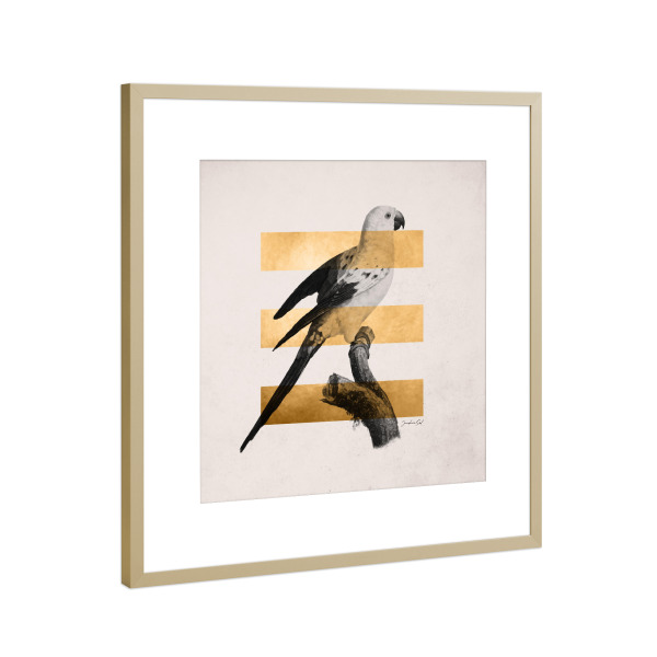 Poster mit Rahmen Gold "Golden Bird" artboxONE - Natur,Tiere