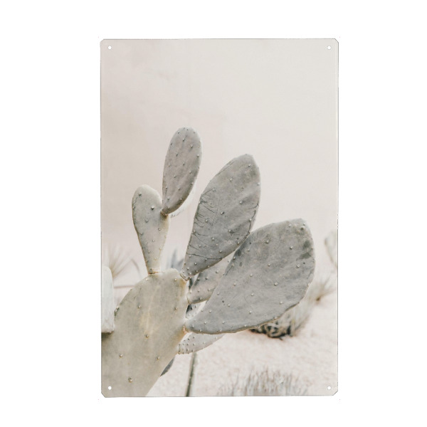 Metall Poster "Neutral Cactus" artboxONE - Natur,Floral - Cactus,Botanical,Neutral,Plants,Kakteen,Kaktus,Floral,Pflanze,Nature,Natur - Blechschild