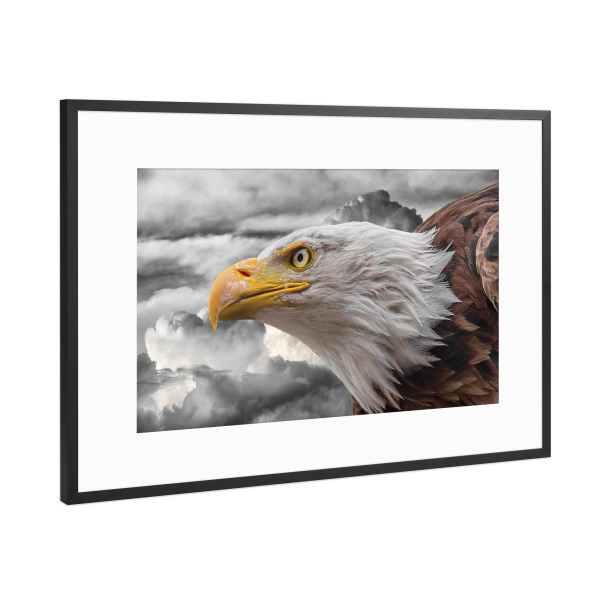 Poster mit Rahmen Schwarz (Metallic) "Adler in den Wolken ck" artboxONE - Natur,Tiere,Abstrakt