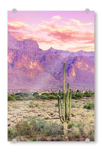 Acrylglasbild "Cactus Sunset" artboxONE - Natur,Floral