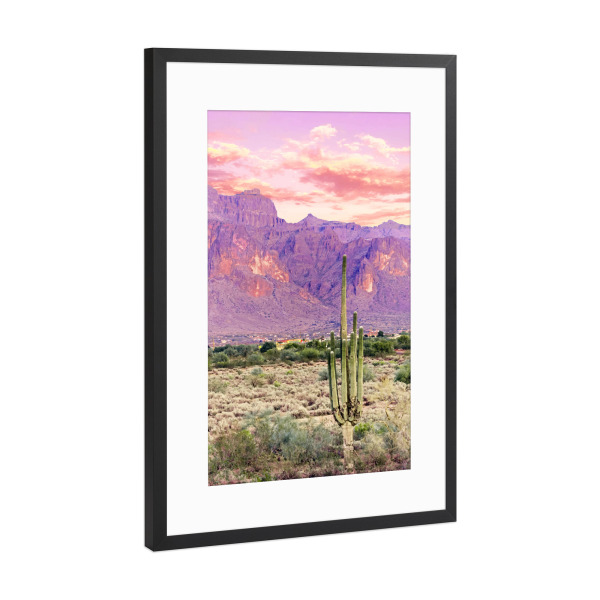 Poster mit Rahmen Schwarz (Metallic) "Cactus Sunset" artboxONE - Natur,Floral