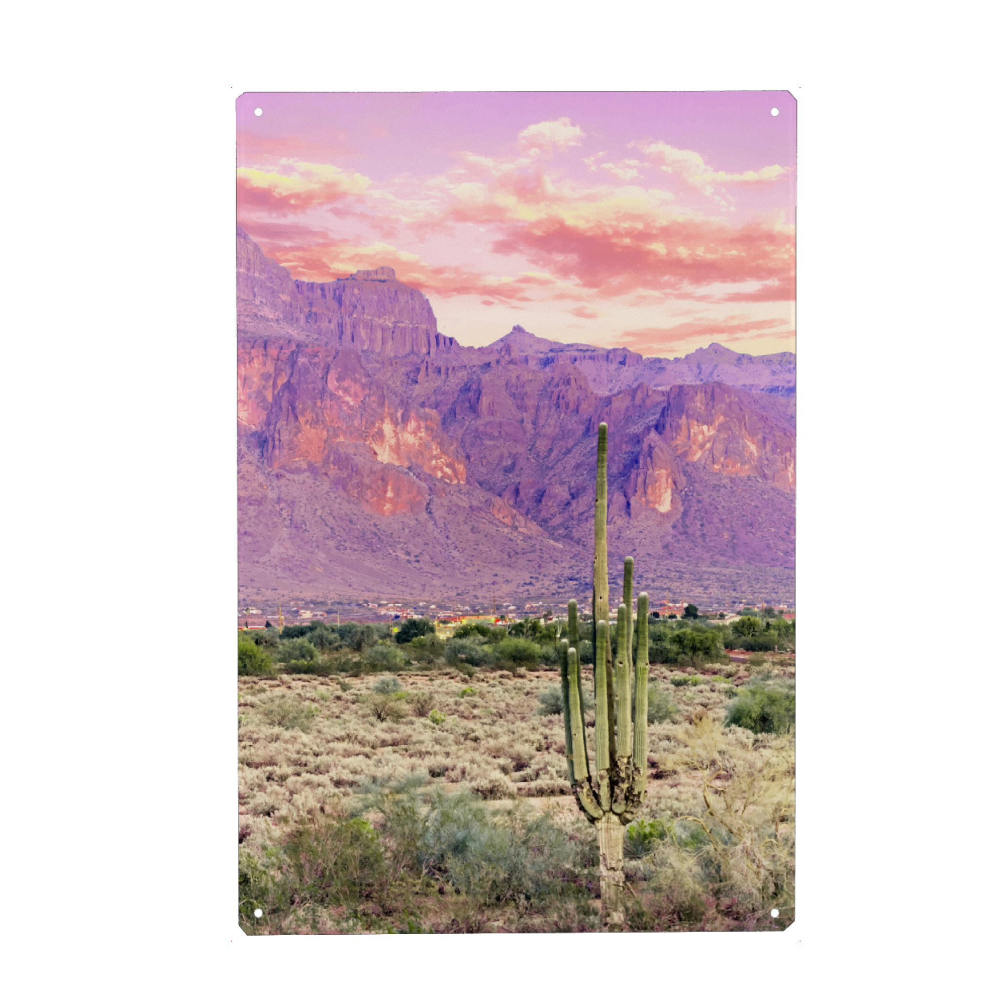 Metall Poster "Cactus Sunset" artboxONE - Natur,Floral