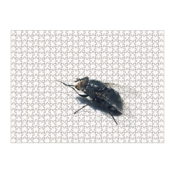 artboxONE Puzzle "Mono-Fliege" artboxONE - Tiere,Schwarzweiß