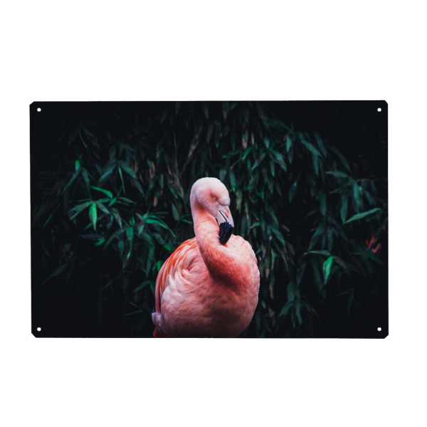 Holzbild "Flamingo in zartem Pink" artboxONE - Natur,Tiere - Flamingo,Zoo,Moody,Vogel,Tier,Gruen,Dunkel,Bird,Colorful,Pink,Nature,Natur,Wild,Animal