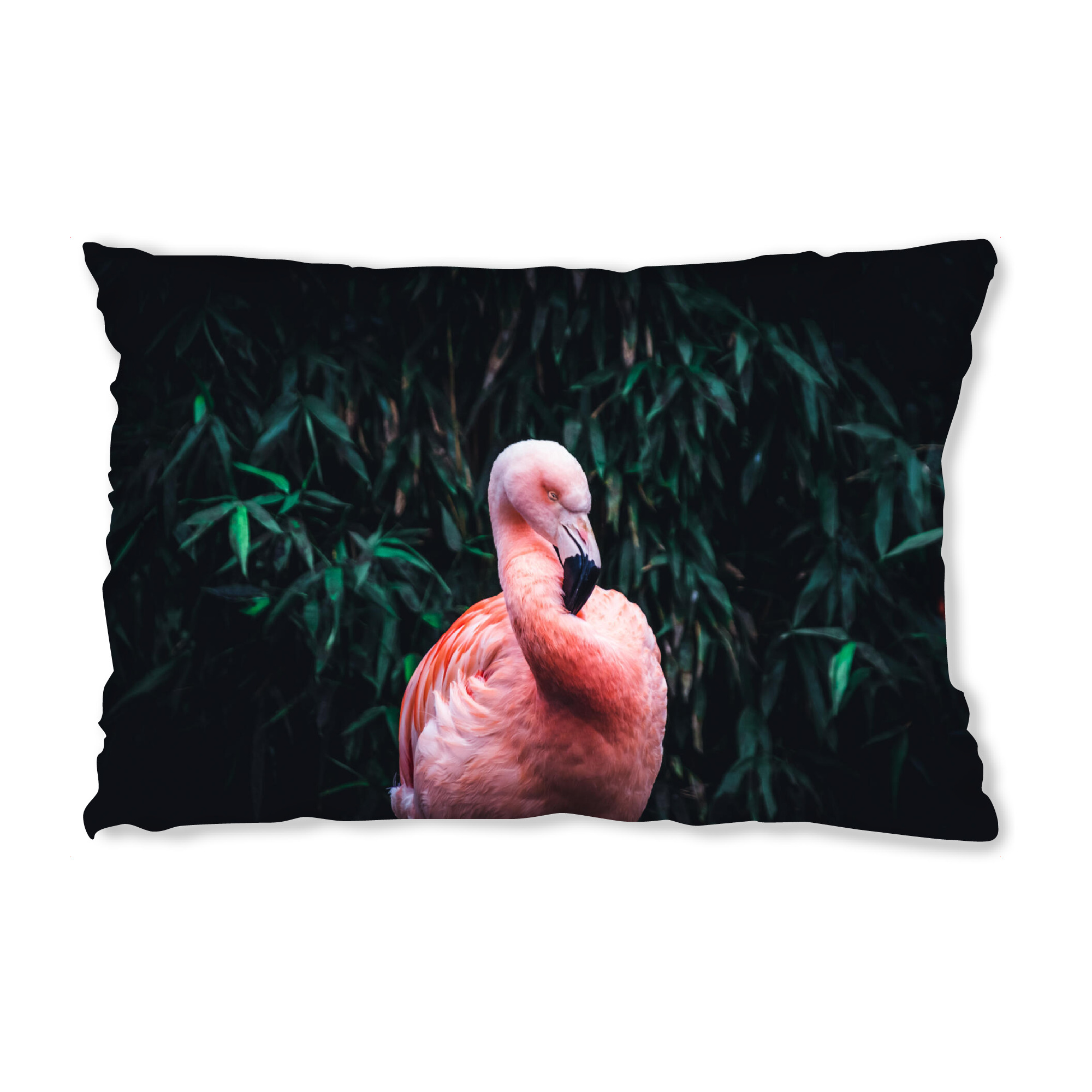 Design-Kissen "Flamingo in zartem Pink" artboxONE - Natur,Tiere