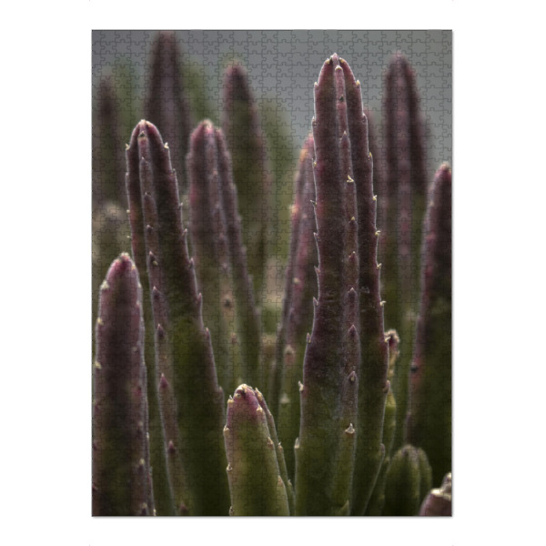 Puzzle Ravensburger "Colourful Cactus" artboxONE - Natur,Floral