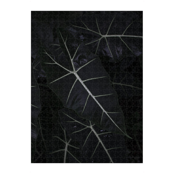 artboxONE Puzzle "Dark Alocasia Frydek" artboxONE - Natur,Floral