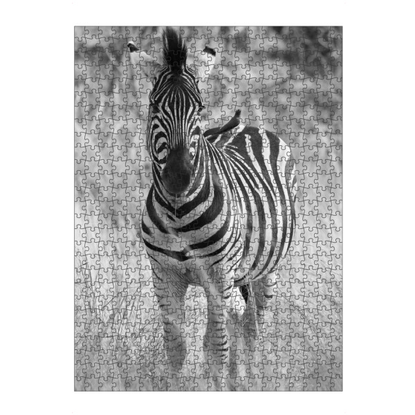 artboxONE Puzzle "Zebra mit Vögel" artboxONE - Natur,Tiere,Schwarzweiß,Reise / Afrika