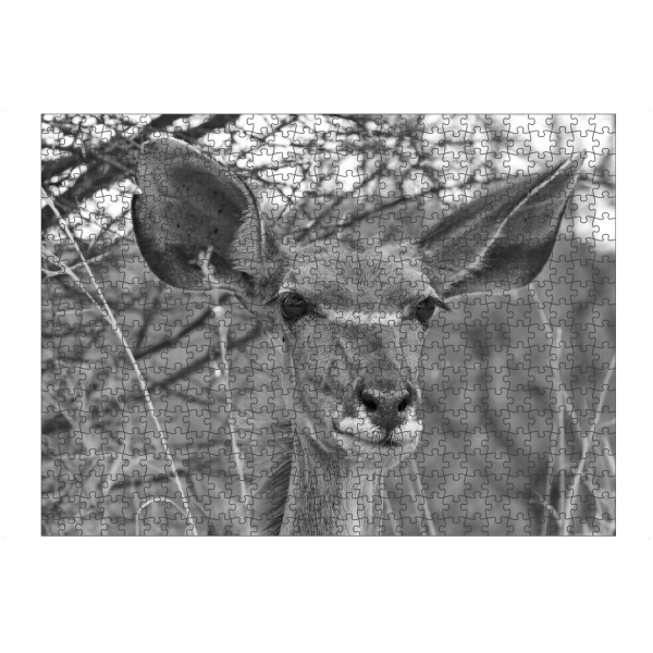 artboxONE Puzzle "Nyala Weibchen" artboxONE - Natur,Tiere,Schwarzweiß,Reise / Afrika