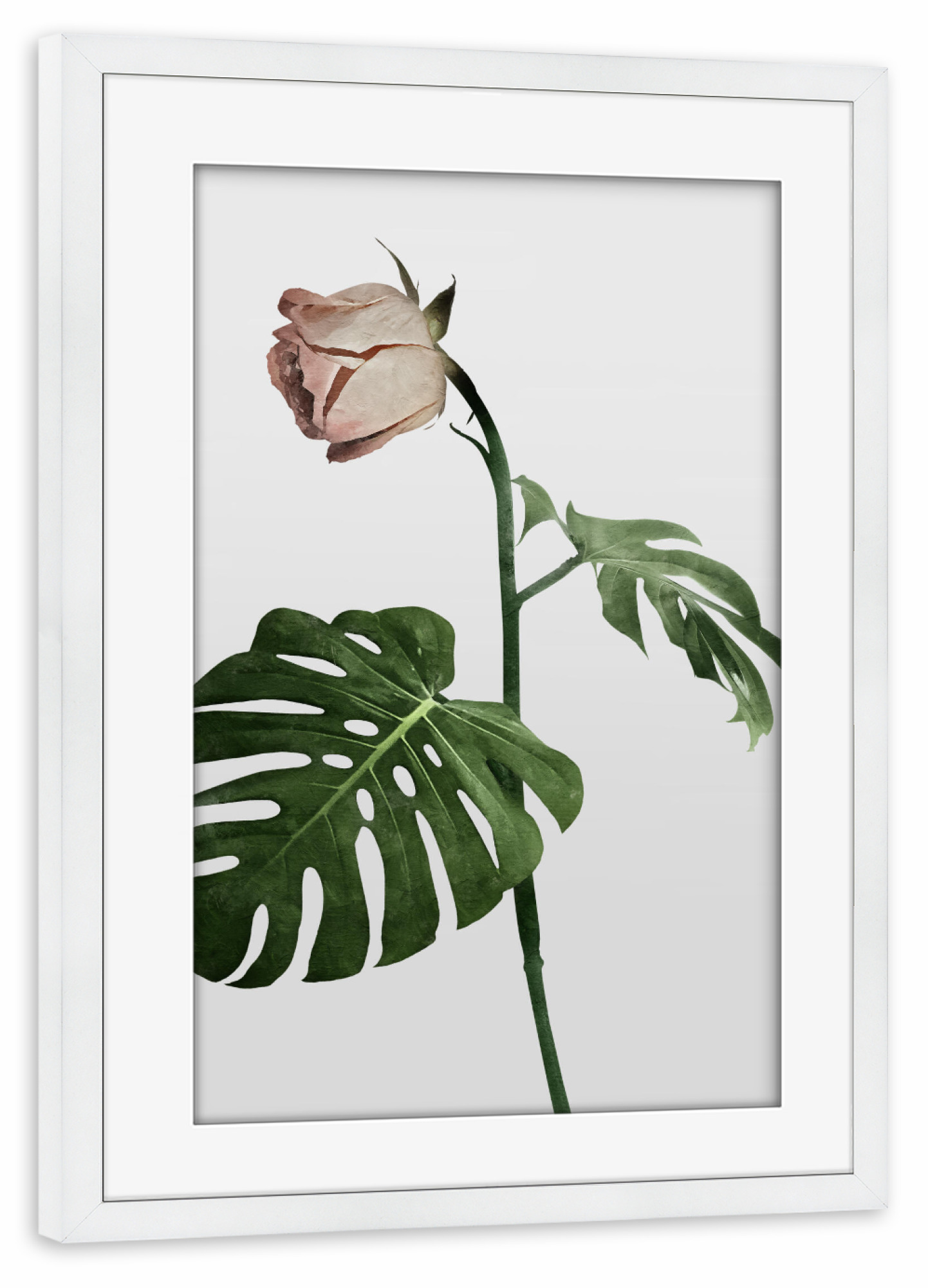 Poster mit Rahmen weiß "Green Sheets" artboxONE - Natur,Floral - Flower,Launch,Novelty,Green,Monstera,Pflanze,Blume,Plant,Nature,Natur,Minimal,Floral
