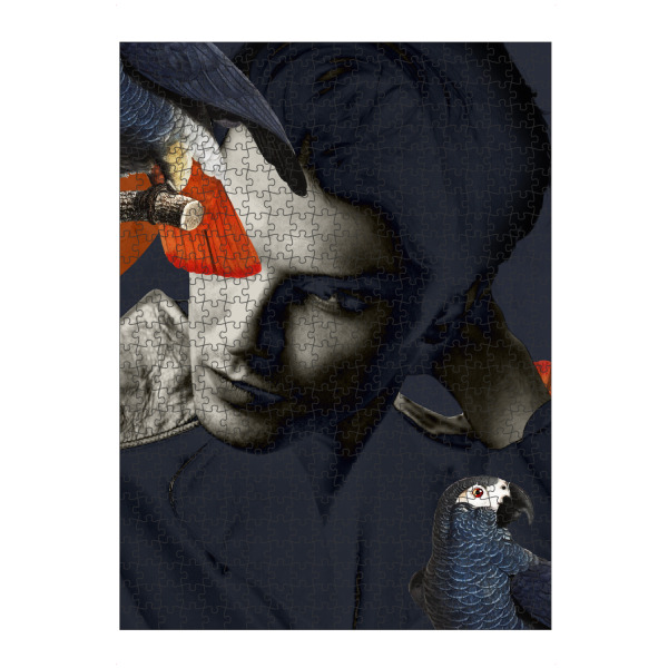 Puzzle Ravensburger "Man with birds" artboxONE - Natur,Tiere,Menschen,Männer