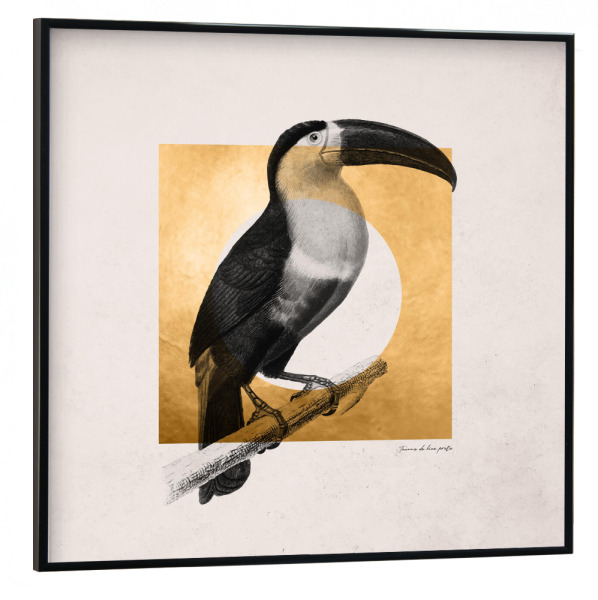Poster mit schwarzem Rahmen 30x30 cm "Golden Toucan" artboxONE - Natur,Tiere