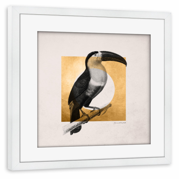 Poster mit Rahmen weiß "Golden Toucan" artboxONE - Natur,Tiere
