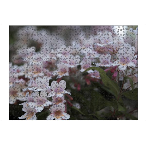 Puzzle Ravensburger "Pretty little flowers" artboxONE - Natur,Floral - Blüten,Nature,Rosa,Pink,Natur,Blumen,Closeup,Floral,Botanical,Flowers
