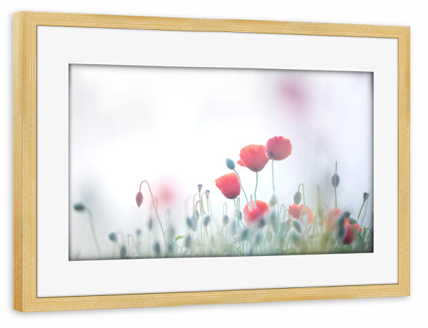 Poster mit Rahmen kiefer "Im Nebel" artboxONE - Natur,Floral