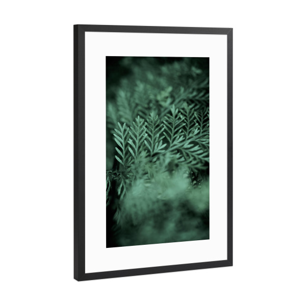 Poster mit Rahmen Schwarz (Metallic) "Those little green Details" artboxONE - Natur,Floral,Abstrakt
