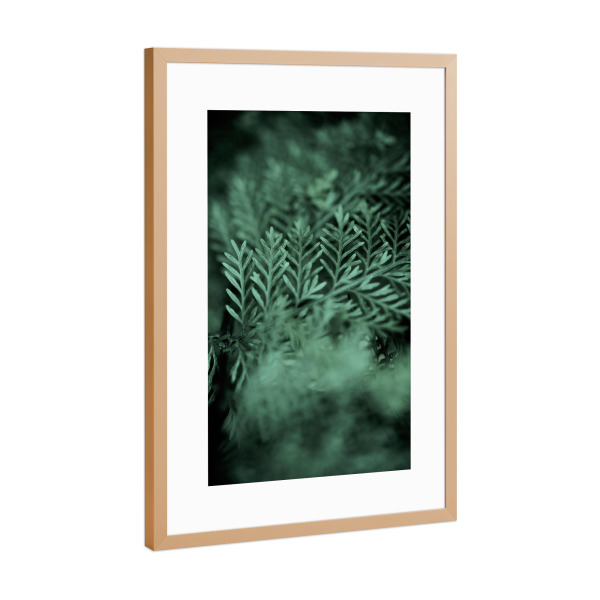 Poster mit Rahmen Kupfer "Those little green Details" artboxONE - Natur,Floral,Abstrakt
