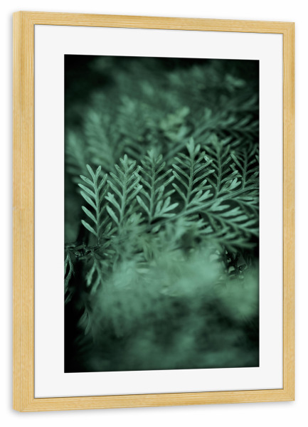 Poster mit Rahmen kiefer "Those little green Details" artboxONE - Natur,Floral,Abstrakt