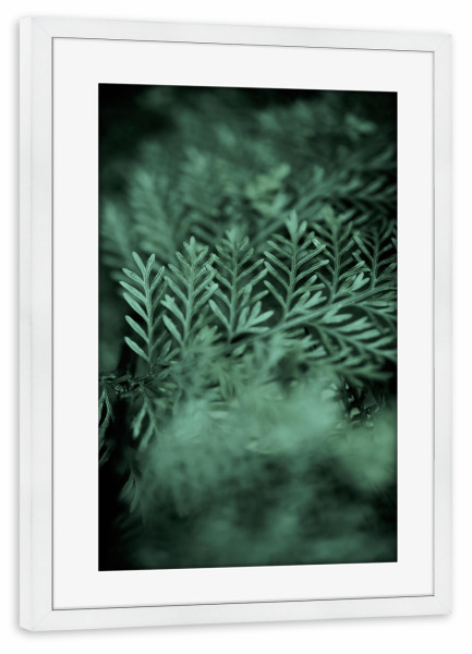 Poster mit Rahmen weiß "Those little green Details" artboxONE - Natur,Floral,Abstrakt