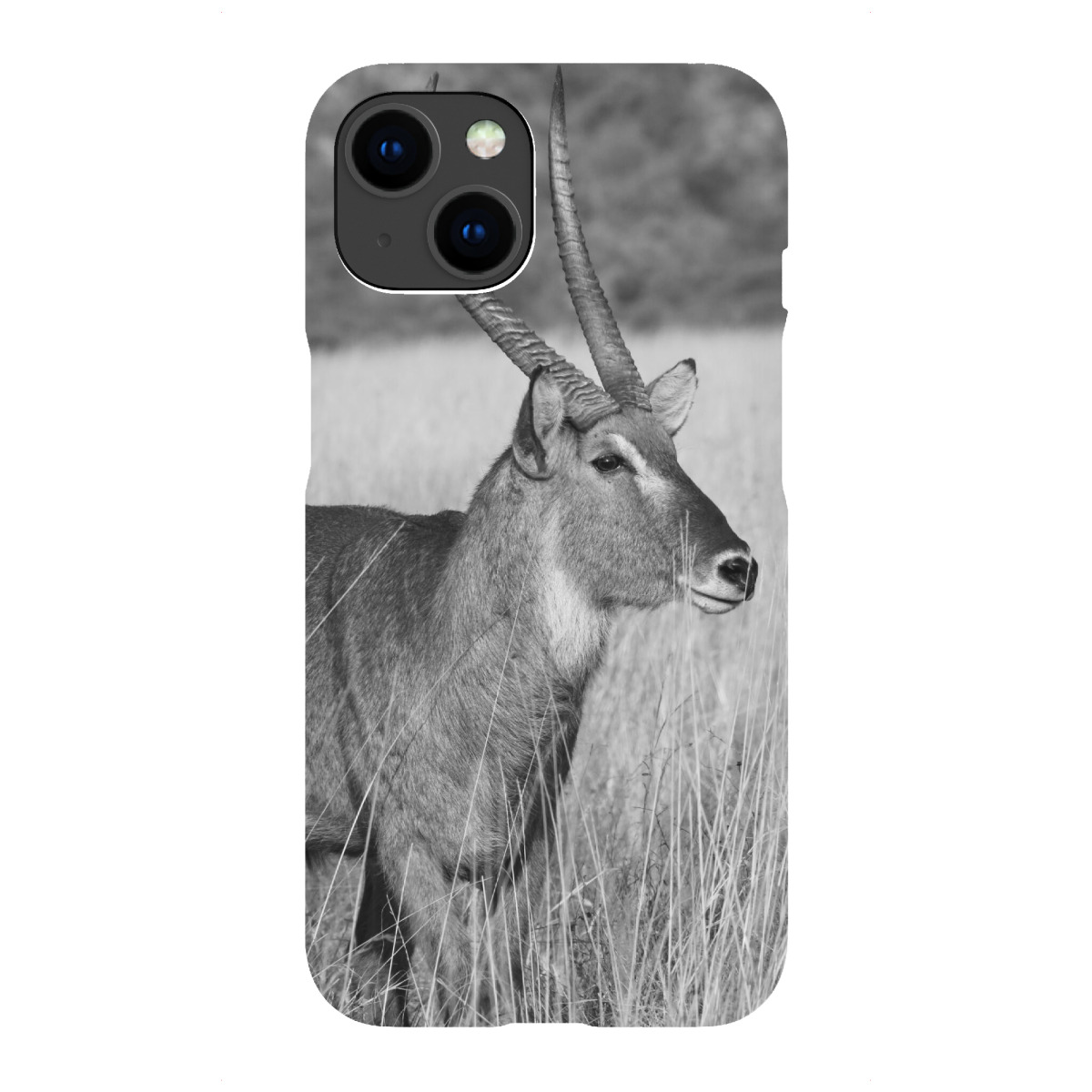 "Wasserbock Männchen"für iPhone - Premium-Case Handyhülle artboxONE