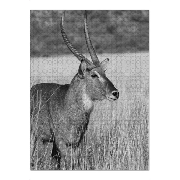 Puzzle Ravensburger "Wasserbock Männchen" artboxONE - Natur,Tiere,Schwarzweiß,Reise / Afrika