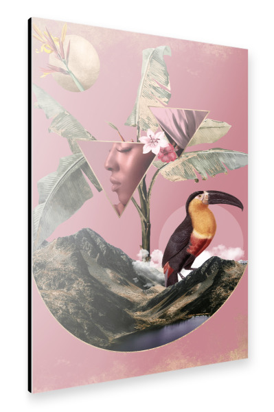 Alu-Dibond "Rose Surrealism" 30x20 cm artboxONE