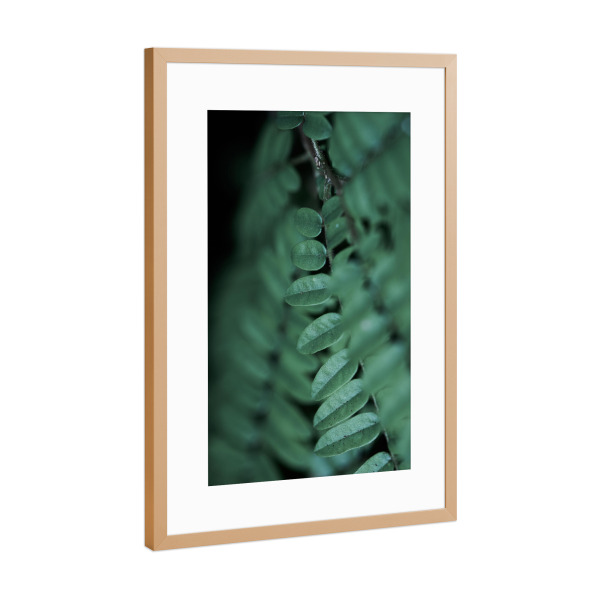 Poster mit Rahmen Kupfer "Leafs" artboxONE - Natur,Floral,Abstrakt