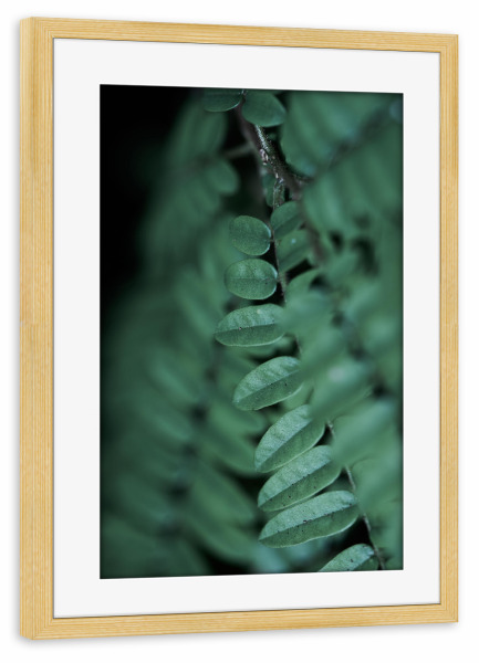 Poster mit Rahmen kiefer "Leafs" artboxONE - Natur,Floral,Abstrakt