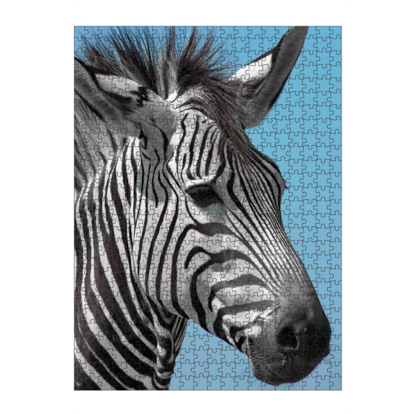 Puzzle Ravensburger "Schönes Bergzebra Portrait ck" artboxONE - Natur,Tiere,Reise / Afrika