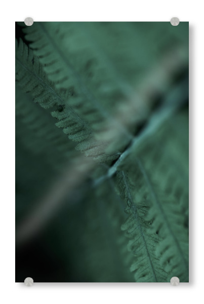 Acrylglasbild "Moody Green" artboxONE - Natur,Floral,Abstrakt