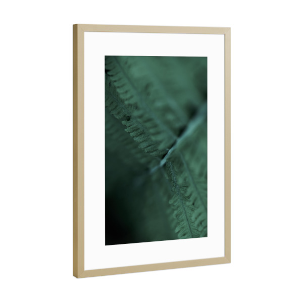Poster mit Rahmen Gold "Moody Green" artboxONE - Natur,Floral,Abstrakt