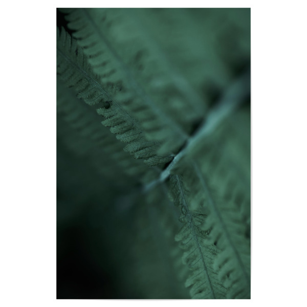Poster 30x20 cm "Moody Green" artboxONE - Natur,Floral,Abstrakt