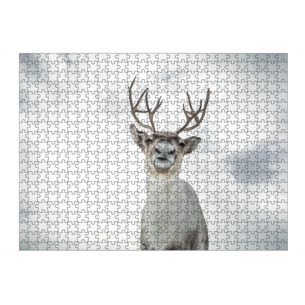 Puzzle Ravensburger "Rentierportrait" artboxONE - Natur,Tiere