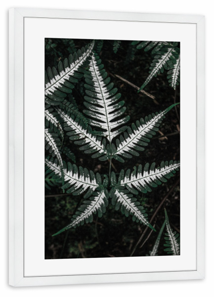 Poster mit Rahmen weiß "Beautiful fern" artboxONE - Natur,Floral