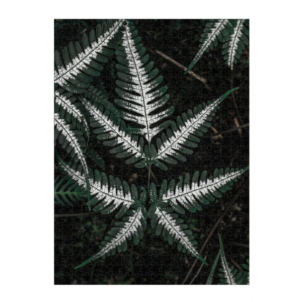 artboxONE Puzzle "Beautiful fern" artboxONE - Natur,Floral