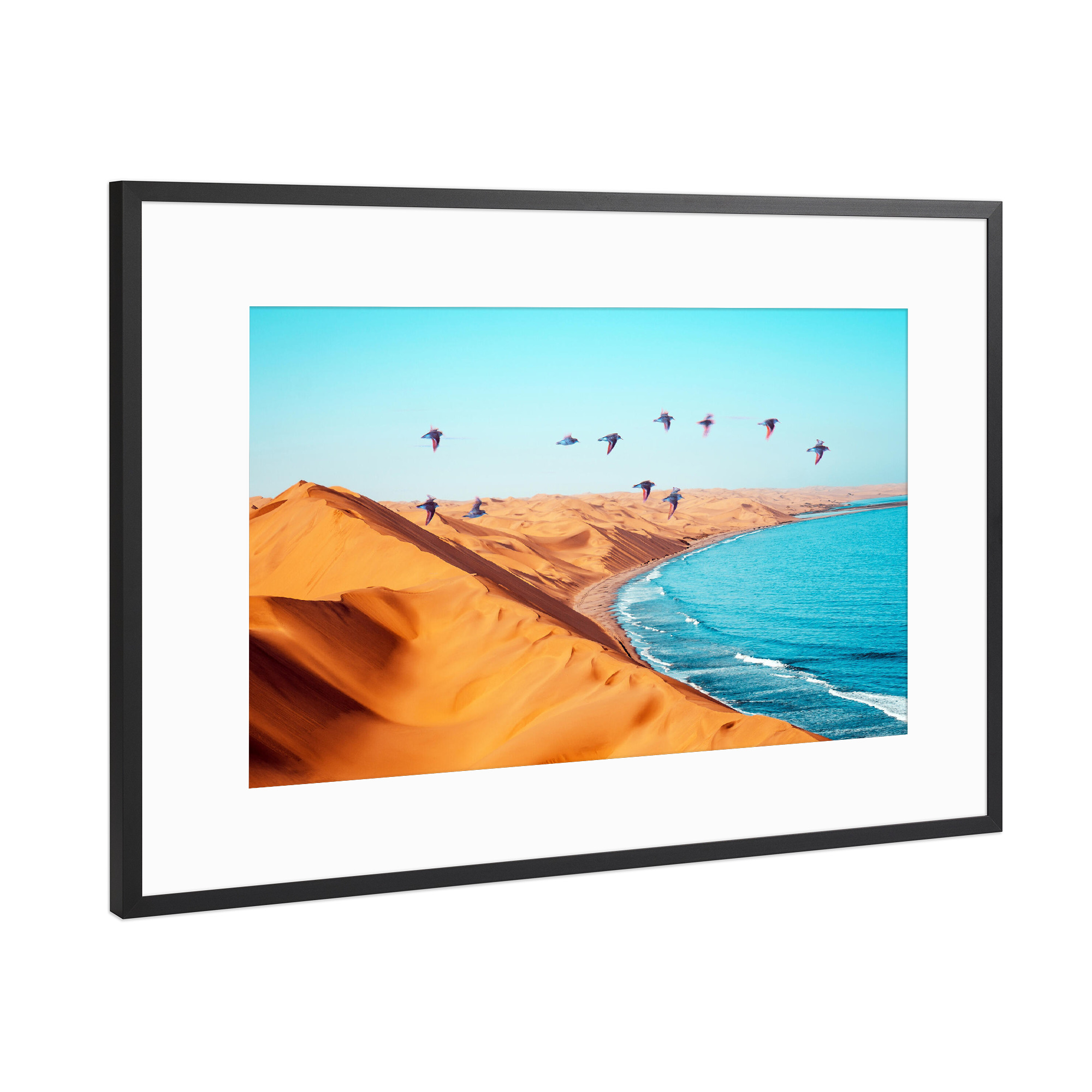 Poster mit Rahmen Schwarz (Metallic) "Desert Birds" artboxONE - Natur,Tiere