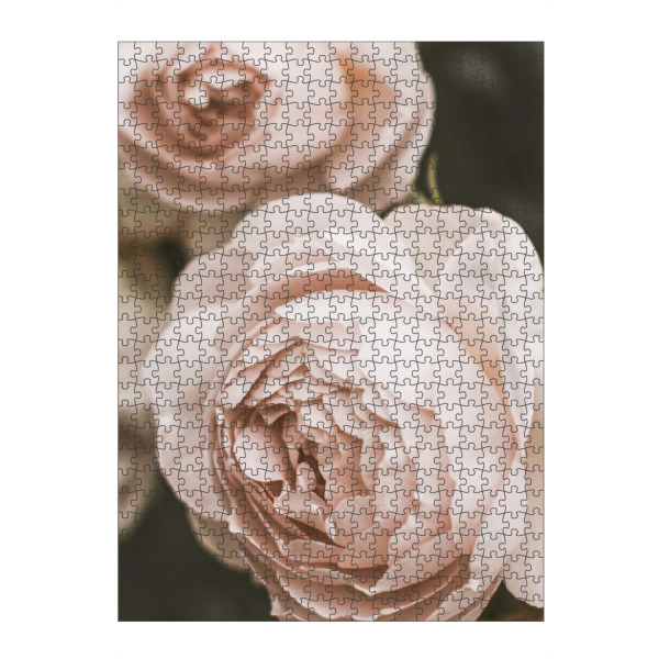 artboxONE Puzzle "Pale Pink Garden Rose" artboxONE - Natur,Floral