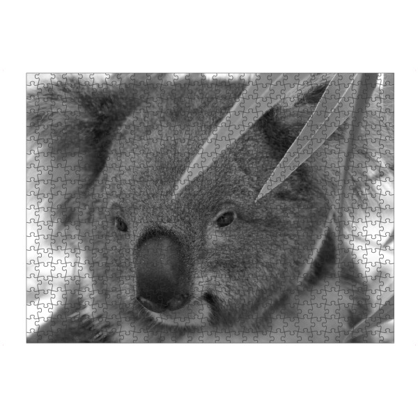 Puzzle Ravensburger "Koala Bär Gesicht sw" artboxONE - Natur,Für Kinder,Tiere