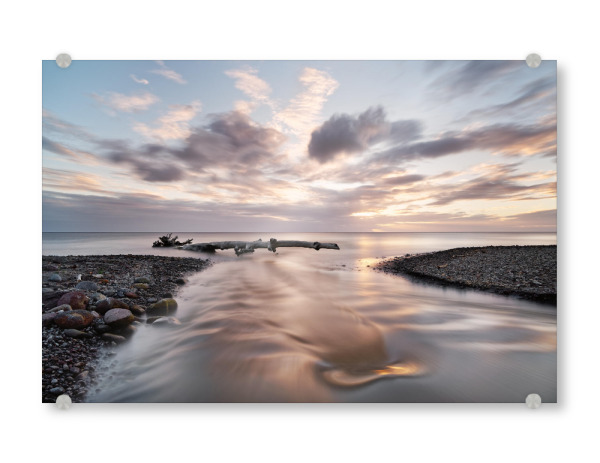 Acrylglasbild "Karibik - Fluss und Treibholz" artboxONE - Natur,Reise / Strand und Meer,Reise / Länder