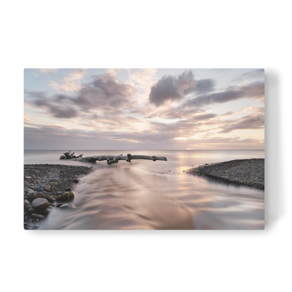 Leinwandbild "Karibik - Fluss und Treibholz" artboxONE - Natur,Reise / Strand und Meer,Reise / Länder