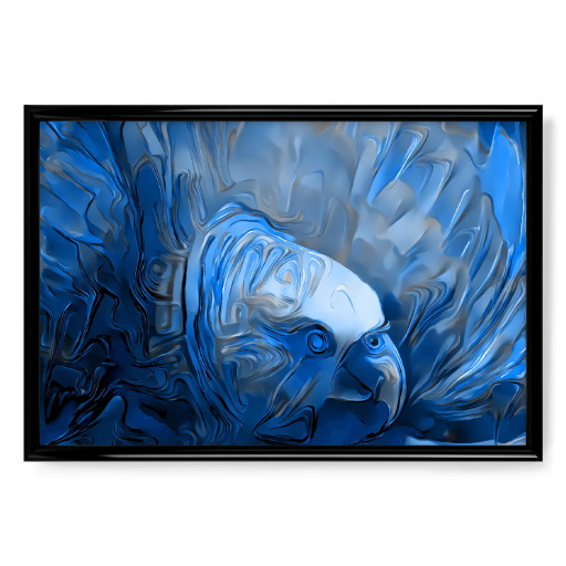 Adler blau art