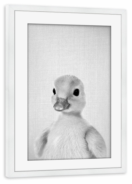 Poster mit Rahmen weiß "Yellow Duckling - Black & White" artboxONE - Natur,Für Kinder,Tiere,Lustig