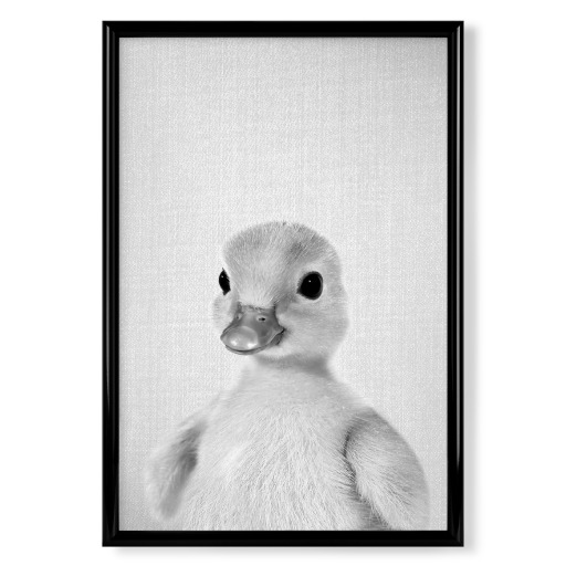 Yellow Duckling - Black & White